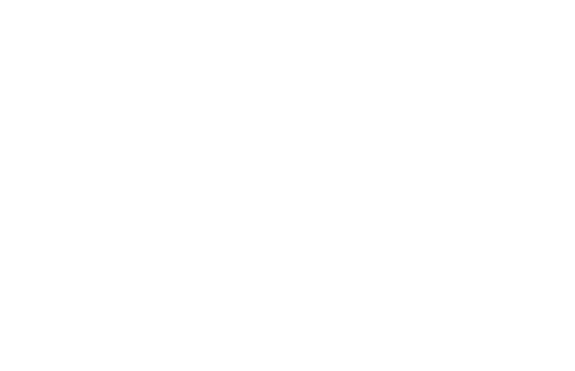 normandypark solstice logo white